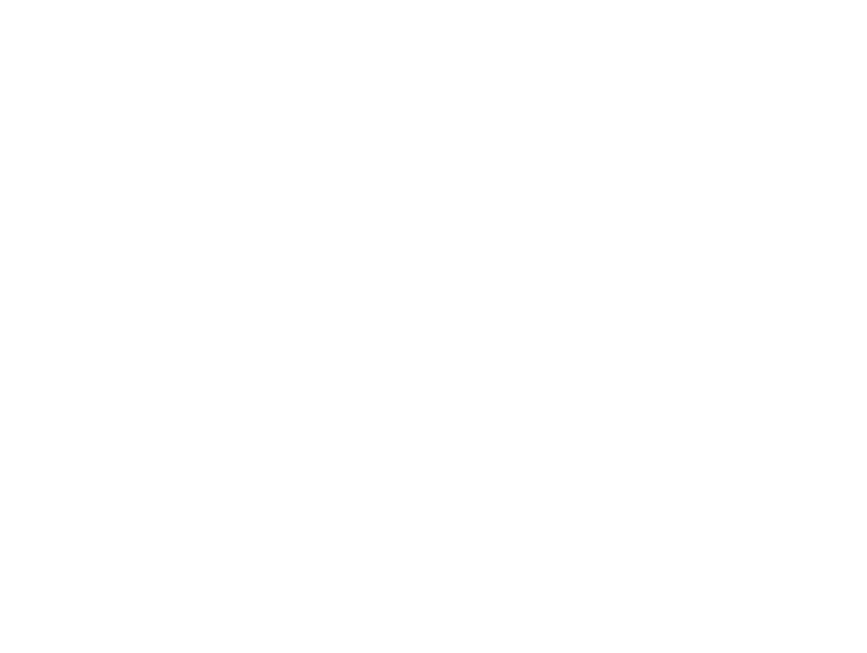 LeapWise Global Consulting